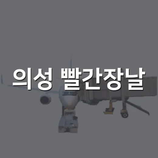 의성 빨간장날, 다채로운 먹거리와 체험의 장