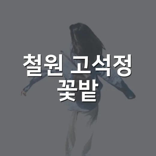 철원 고석정 꽃밭, 가을빛 물든 명소