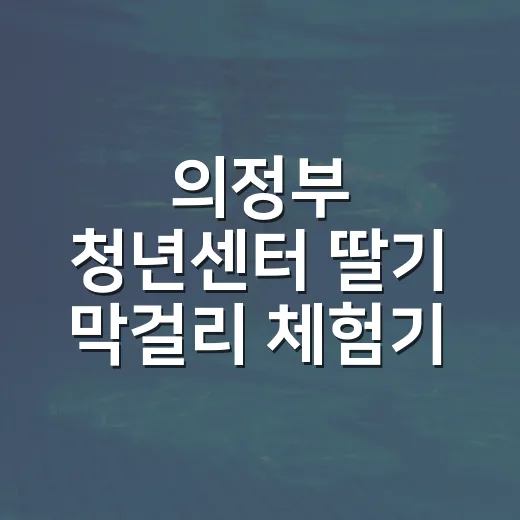 의정부 청년센터 딸기 막걸리 체험기