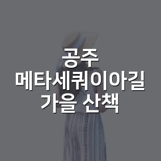 공주 메타세쿼이아길 가을 산책 명소