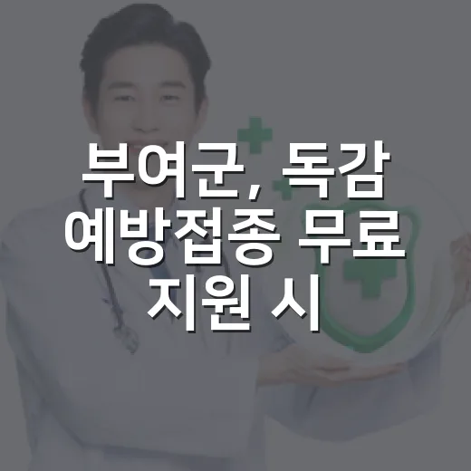 부여군, 독감 예방접종 무료 지원 시작