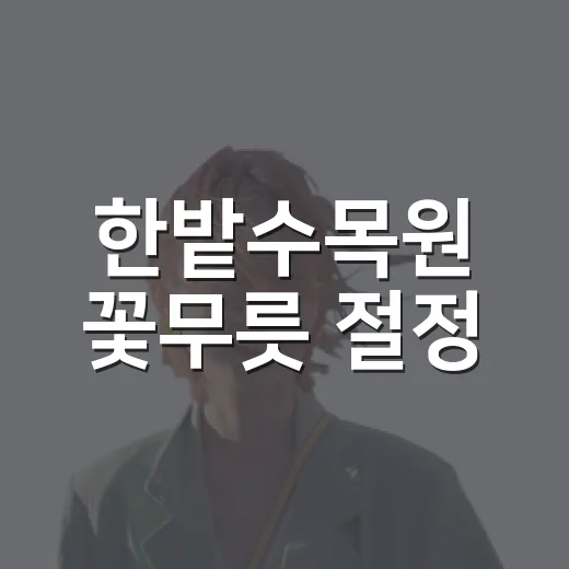 한밭수목원 꽃무릇 절정, 가을 정취 만끽하세요