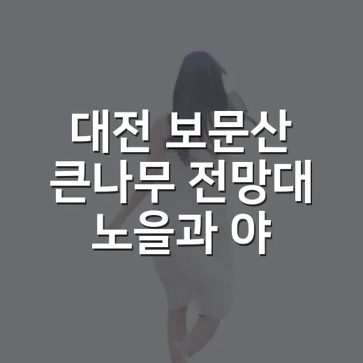 대전 보문산 큰나무 전망대 노을과 야경 명소