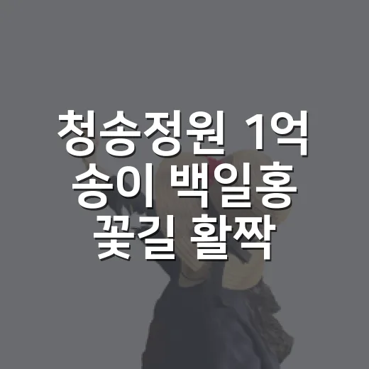 청송정원 1억 송이 백일홍 꽃길 활짝
