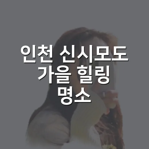 인천 신시모도 가을 힐링 명소
