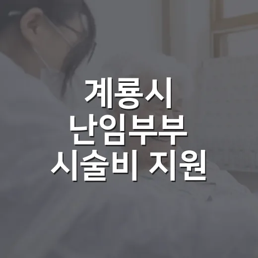 계룡시 난임부부 시술비 지원 강화