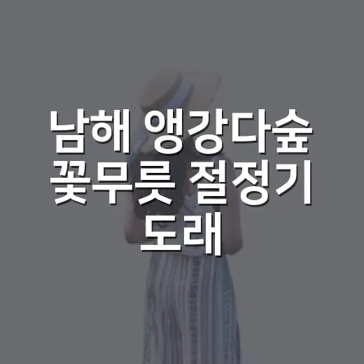 남해 앵강다숲 꽃무릇 절정기 도래