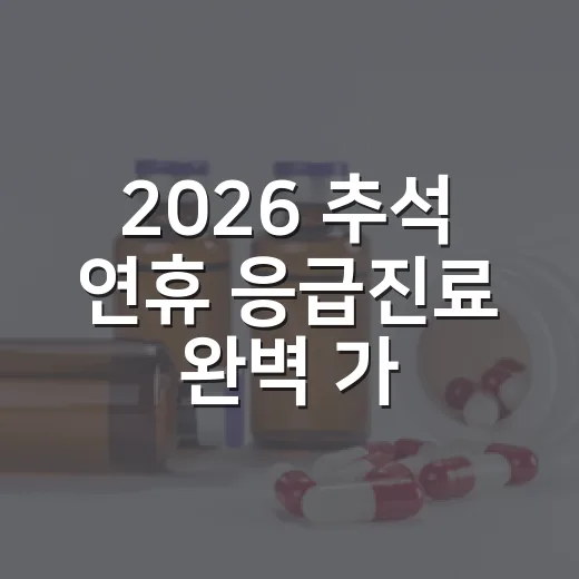 2026 추석 연휴 응급진료 완벽 가동