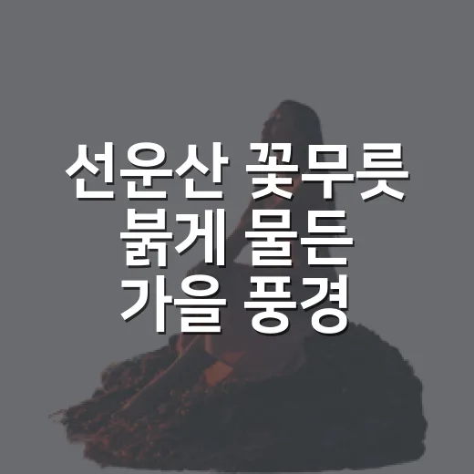 선운산 꽃무릇 붉게 물든 가을 풍경