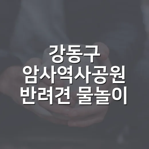 강동구 암사역사공원 반려견 물놀이 현장