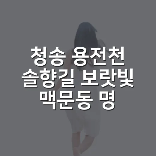 청송 용전천 솔향길 보랏빛 맥문동 명소