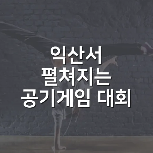 익산서 펼쳐지는 공기게임 대회 참가자 모집