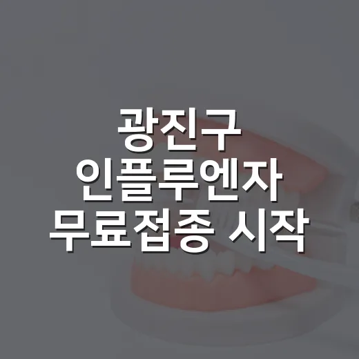 광진구 인플루엔자 무료접종 시작
