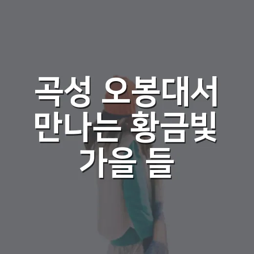 곡성 오봉대서 만나는 황금빛 가을 들녘