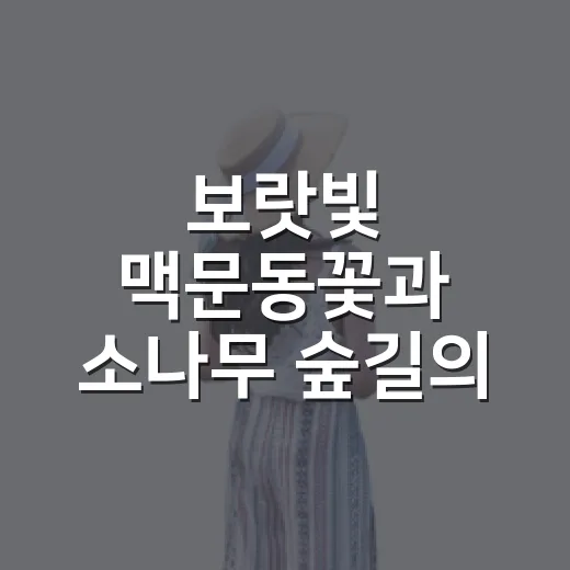 보랏빛 맥문동꽃과 소나무 숲길의 힐링 산책