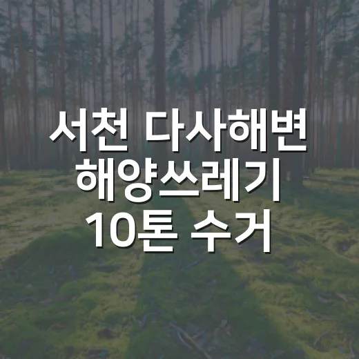 서천 다사해변 해양쓰레기 10톤 수거 대작전