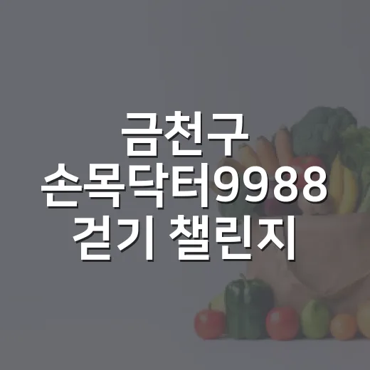 금천구 손목닥터9988 걷기 챌린지 시작