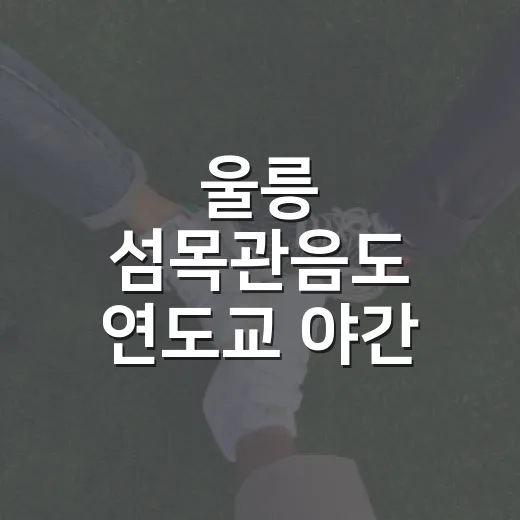 울릉 섬목관음도 연도교 야간 개장 소식