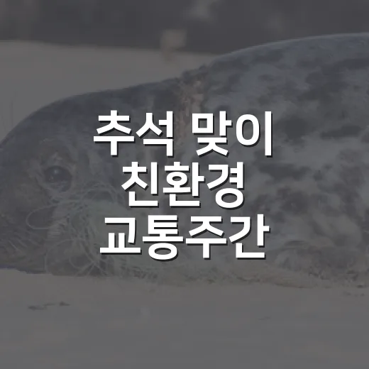 추석 맞이 친환경 교통주간 실천법
