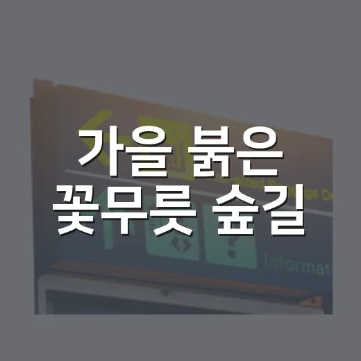 가을 붉은 꽃무릇 숲길, 김해 활천의 매력