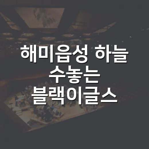해미읍성 하늘 수놓는 블랙이글스 에어쇼