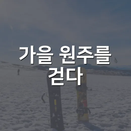 가을 원주를 걷다, 제32회 국제걷기대회