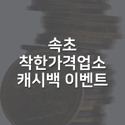 속초 착한가격업소 캐시백 이벤트 시작