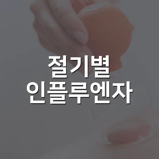 절기별 인플루엔자·코로나19 무료접종 안내