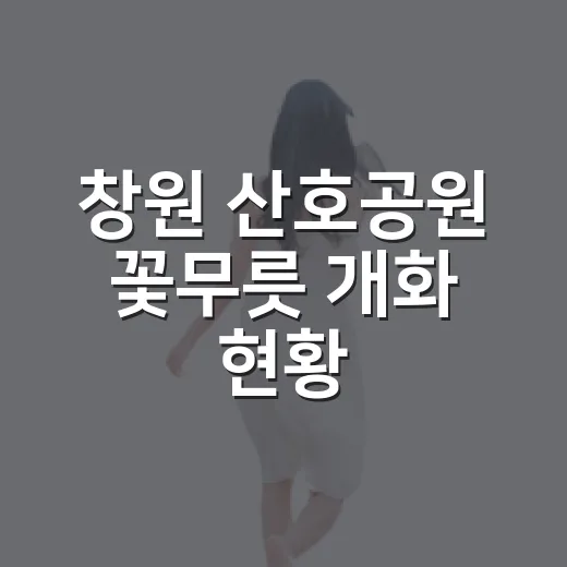 창원 산호공원 꽃무릇 개화 현황