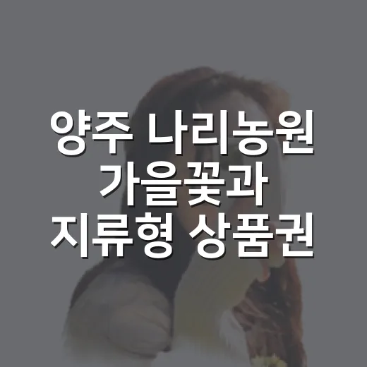 양주 나리농원 가을꽃과 지류형 상품권의 만남