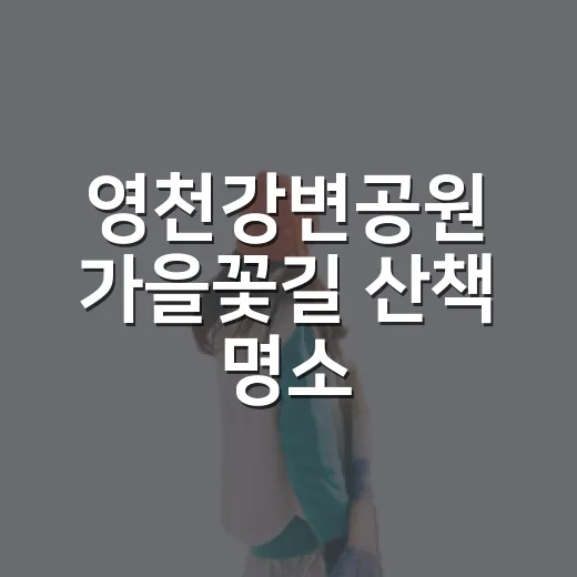 영천강변공원 가을꽃길 산책 명소