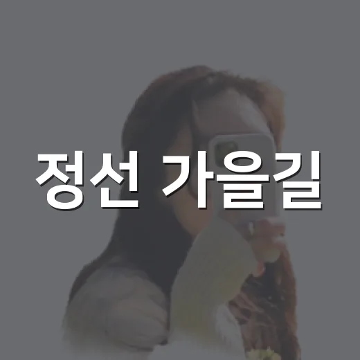 정선 가을길, 장찬성 트레킹 초대