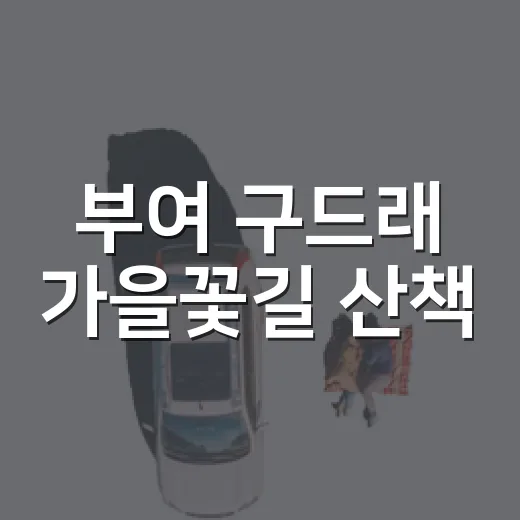 부여 구드래 가을꽃길 산책