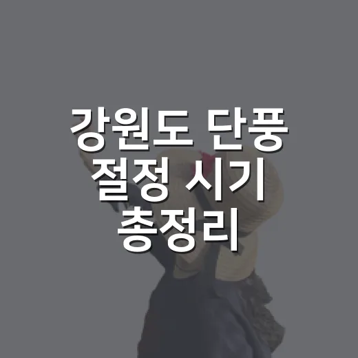 강원도 단풍 절정 시기 총정리