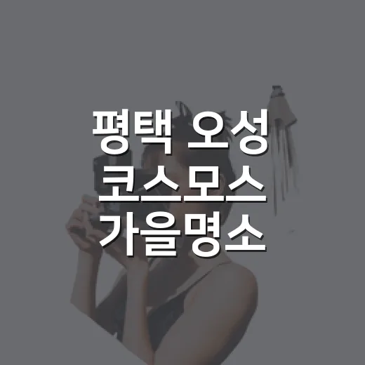 평택 오성 코스모스 가을명소