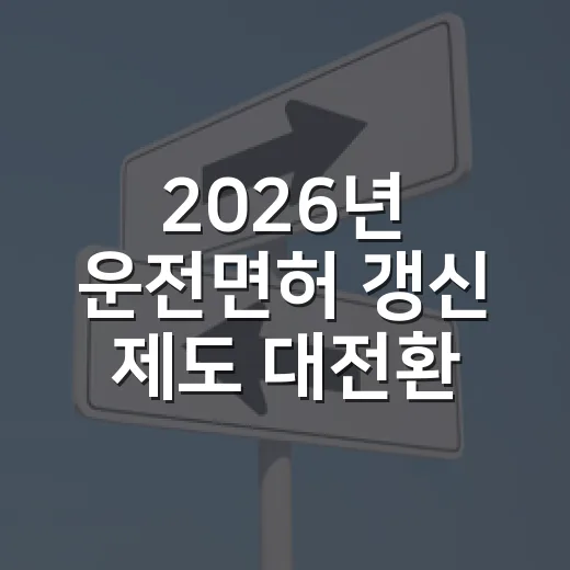 2026년 운전면허 갱신 제도 대전환