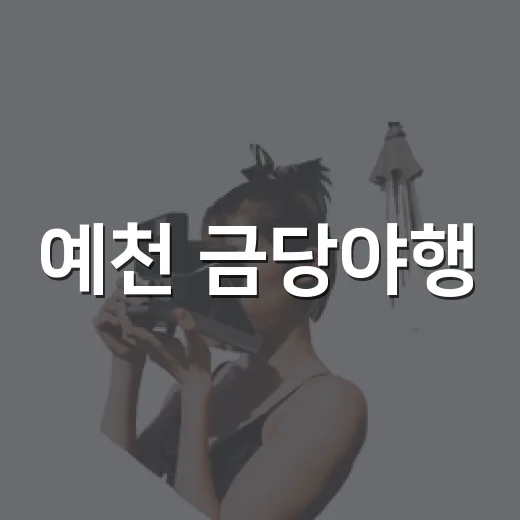 예천 금당야행, 전통과 밤의 향연