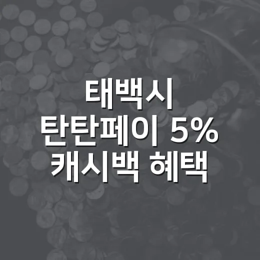 태백시 탄탄페이 5% 캐시백 혜택 확대