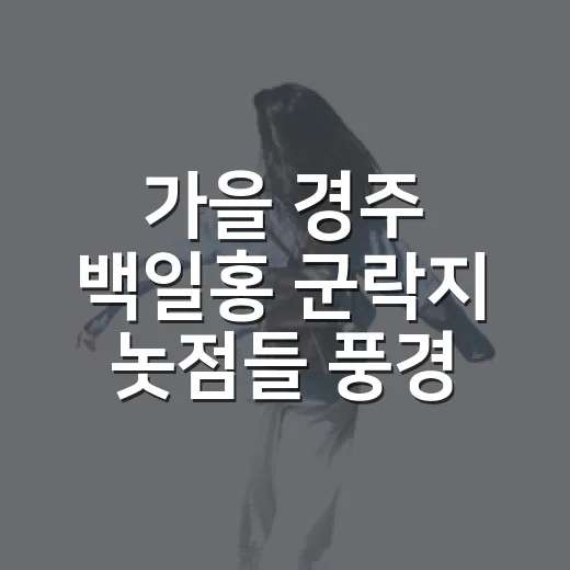 가을 경주 백일홍 군락지 놋점들 풍경