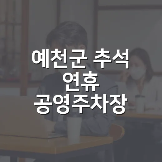 예천군 추석 연휴 공영주차장 8곳 무료 개방