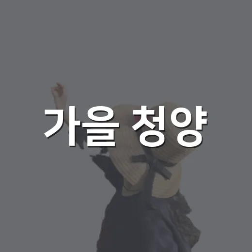 가을 청양, 차와 함께하는 힐링 카페 여행