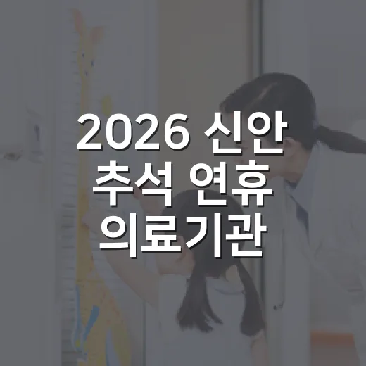 2026 신안 추석 연휴 의료기관·약국 운영 안내