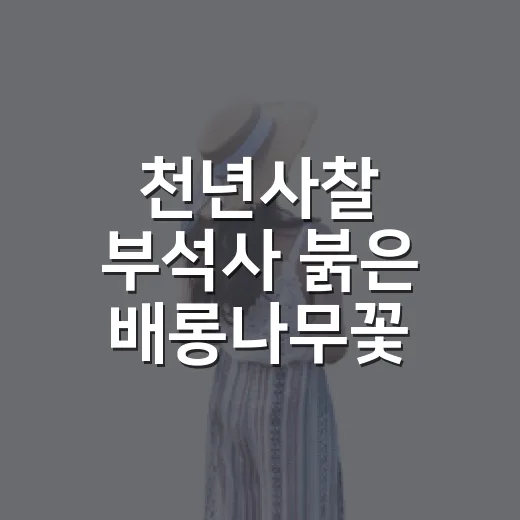 천년사찰 부석사 붉은 배롱나무꽃 명소