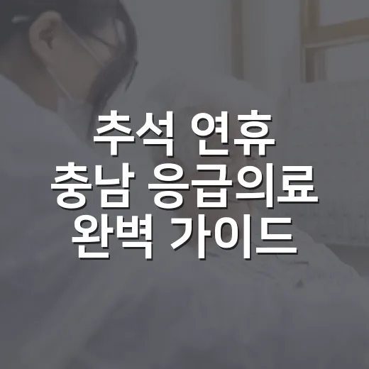 추석 연휴 충남 응급의료 완벽 가이드