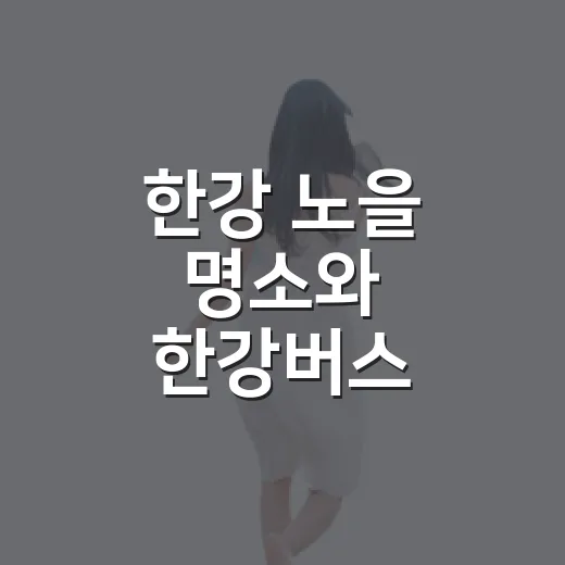 한강 노을 명소와 한강버스 총정리