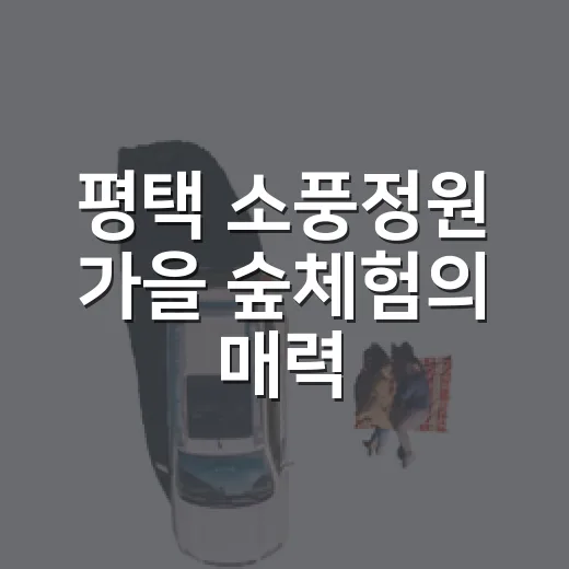 평택 소풍정원 가을 숲체험의 매력