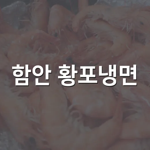 함안 황포냉면, 6개월만 맛보는 진주식 육전 냉면