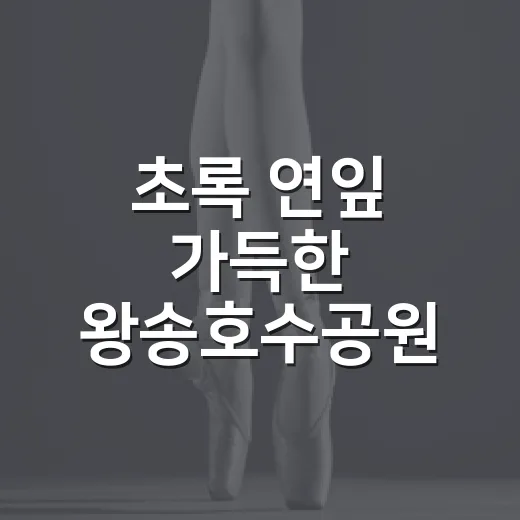 초록 연잎 가득한 왕송호수공원 예술제 현장
