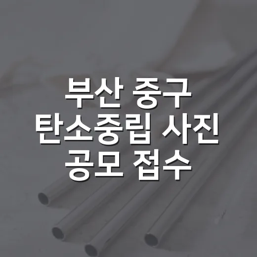 부산 중구 탄소중립 사진 공모 접수 연장