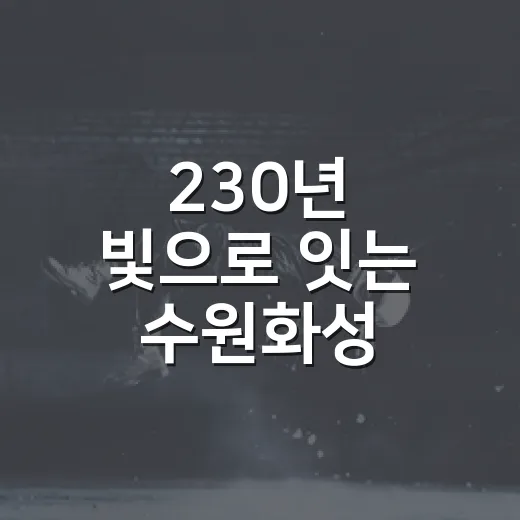 230년 빛으로 잇는 수원화성 미디어아트